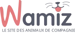 Wamiz